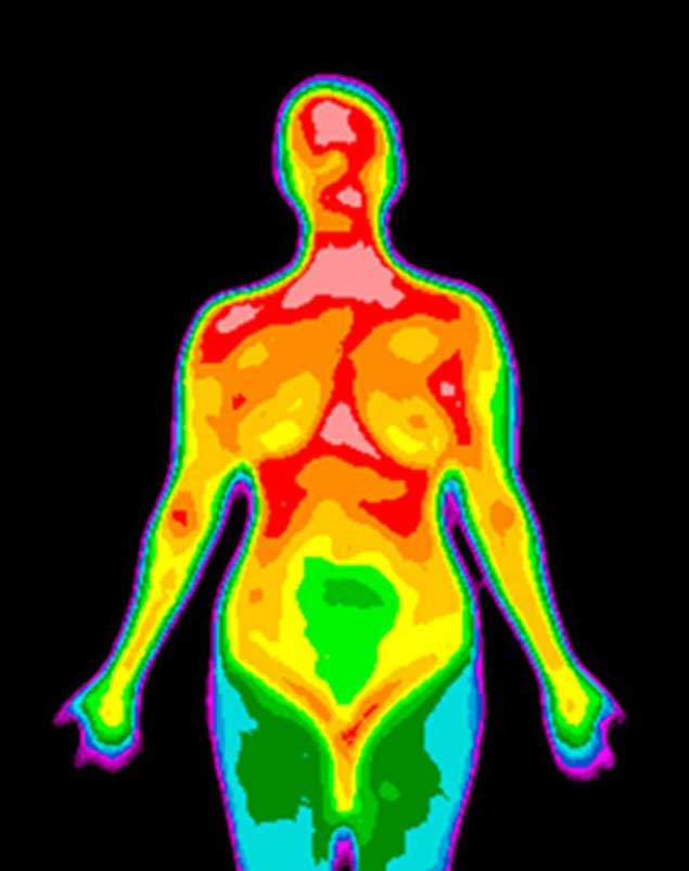 Thermography - Thermal Imaging - example of a Thermal full body scan